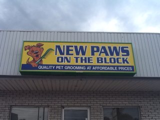 New Paws On The Block