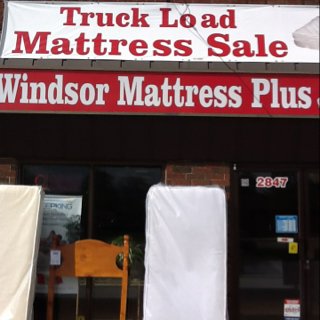 Windsor Mattress Plus